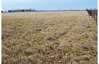 Property photo 28 - REAL ESTATE & FARM EQUIPMENT AUCTION IN ALLEN COUNTY, INDIANA